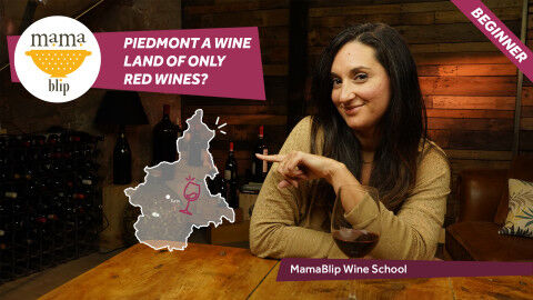 tagAlt.Piedmont wines