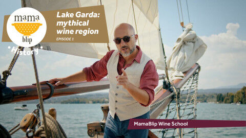 tagAlt.lake garda wine