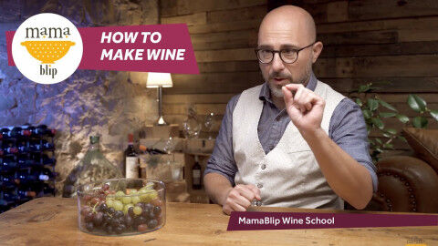 tagAlt.how to make wine