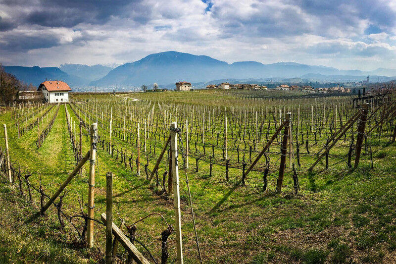 tagAlt.Alto Adige Wine Roads Cover