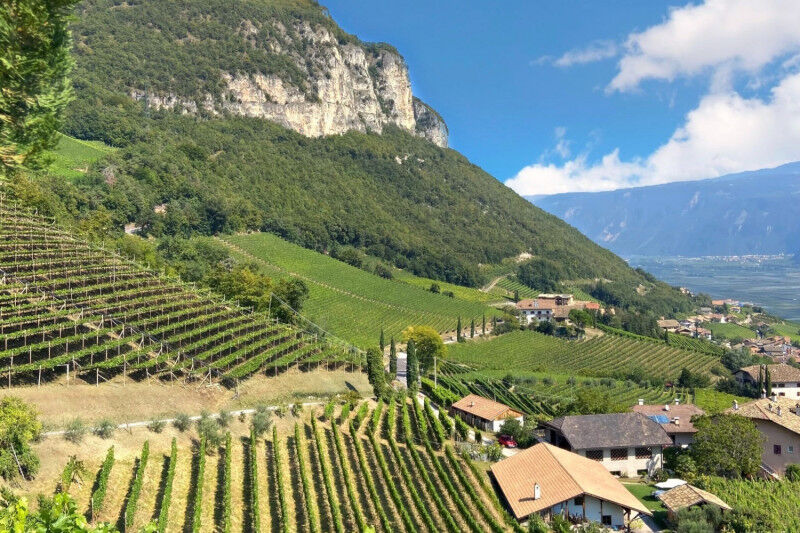 tagAlt.Alto Adige vineyards landscape 3
