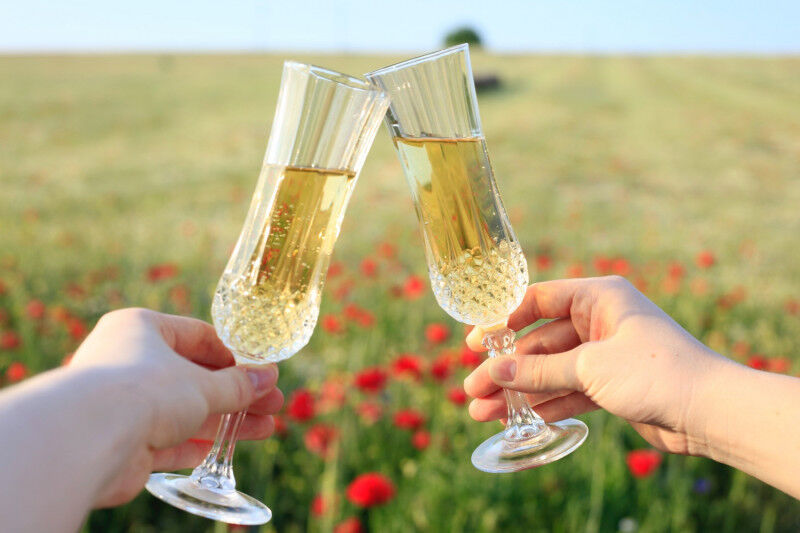 tagAlt.Champagne flutes toasting in field Cover