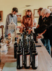 tagAlt.Alto Piemonte guided tasting wine bottles 5