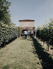 tagAlt.Alto Piemonte tasting vineyard walk 5