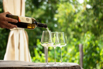 tagAlt.Edi Kante Karst Wine Pouring White Wine 7