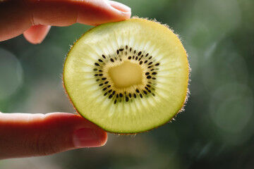 tagAlt.Kiwi slice transparent Mindful Eating 7