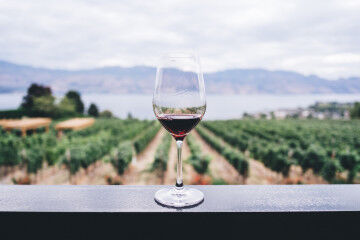 tagAlt.Red wine glass lake Garda background 6