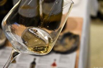 tagAlt.Vernaccia di San Gimignano wine tasting in glass 5