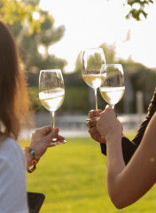 tagAlt.White Lugana wine toasting summertime 6