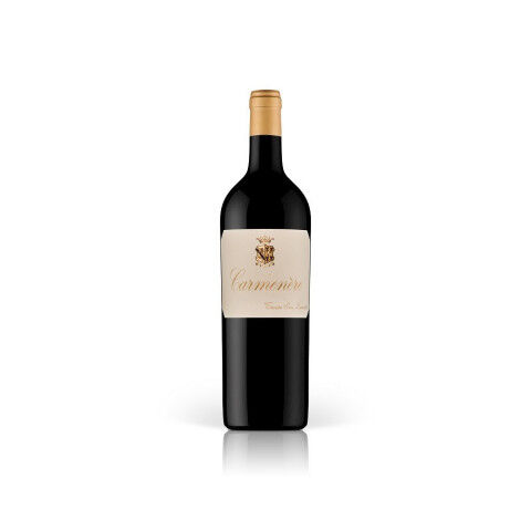 carmenere-2010-san-leonardo_20220831