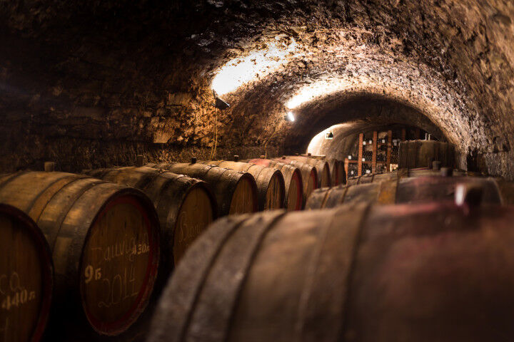 cellar_wine_20220513