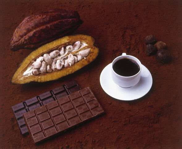 cocoa_italian_20220304