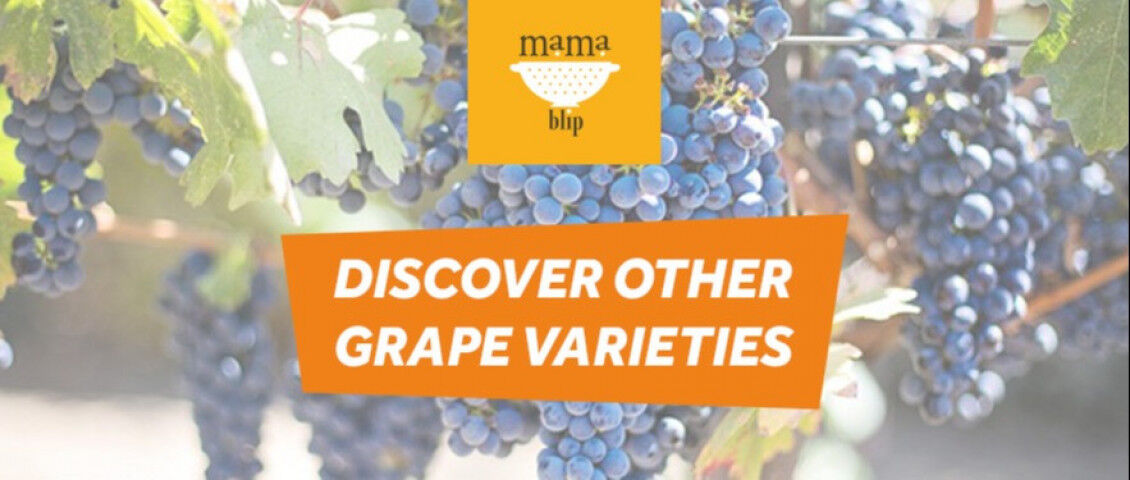 grapes_varieties_20220429