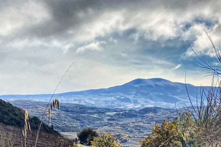hills-montalcino_2021121