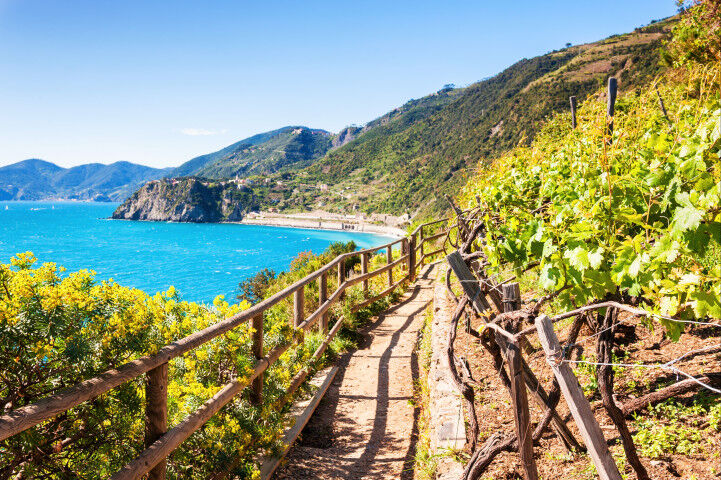 liguria_vineyard_20220504