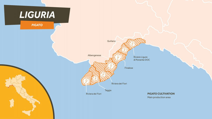 MamaBlip_map_1920x1080-Liguria-Pigato_2020202020