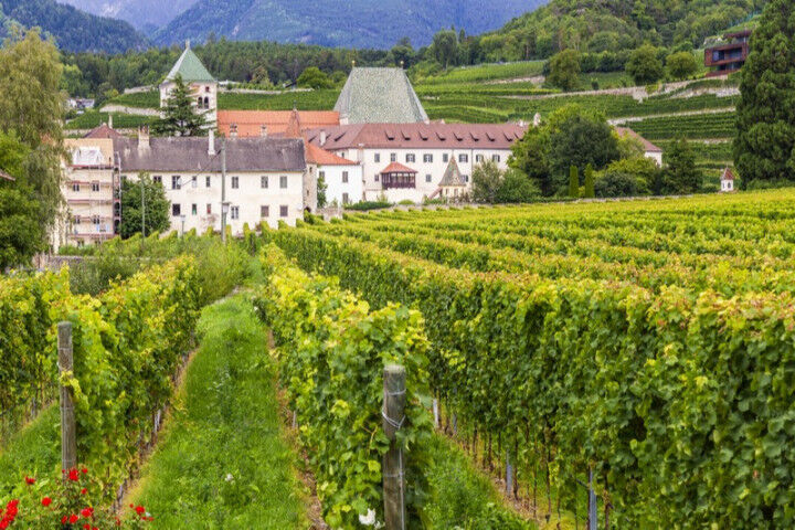 Monastery_Neustift_vineyards_Brixen_Italy_20220912