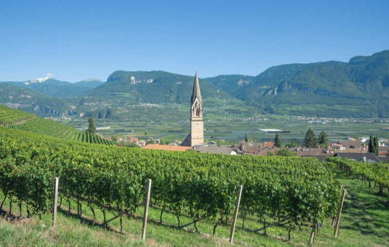 Village of Tramin near merano and Bolzano, South Tyrolean Wine Route, Trentino, Alto Adige, Italy_20221010