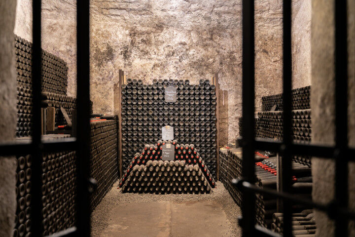 wine_castello_monsanto_20221006
