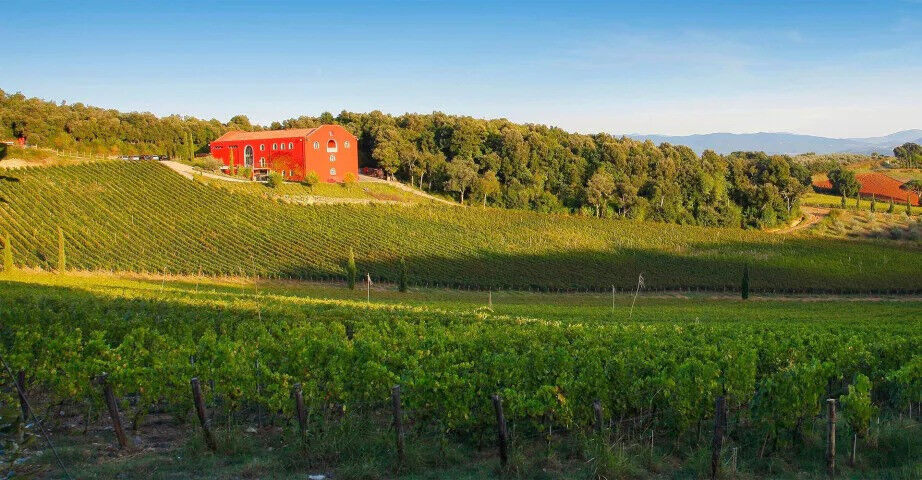 winery-caiarossa2_20211102