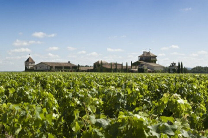Winery in Bordeaux